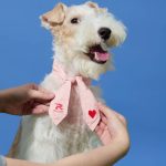 Summer Explorer Pet Ice Scarf - Pink