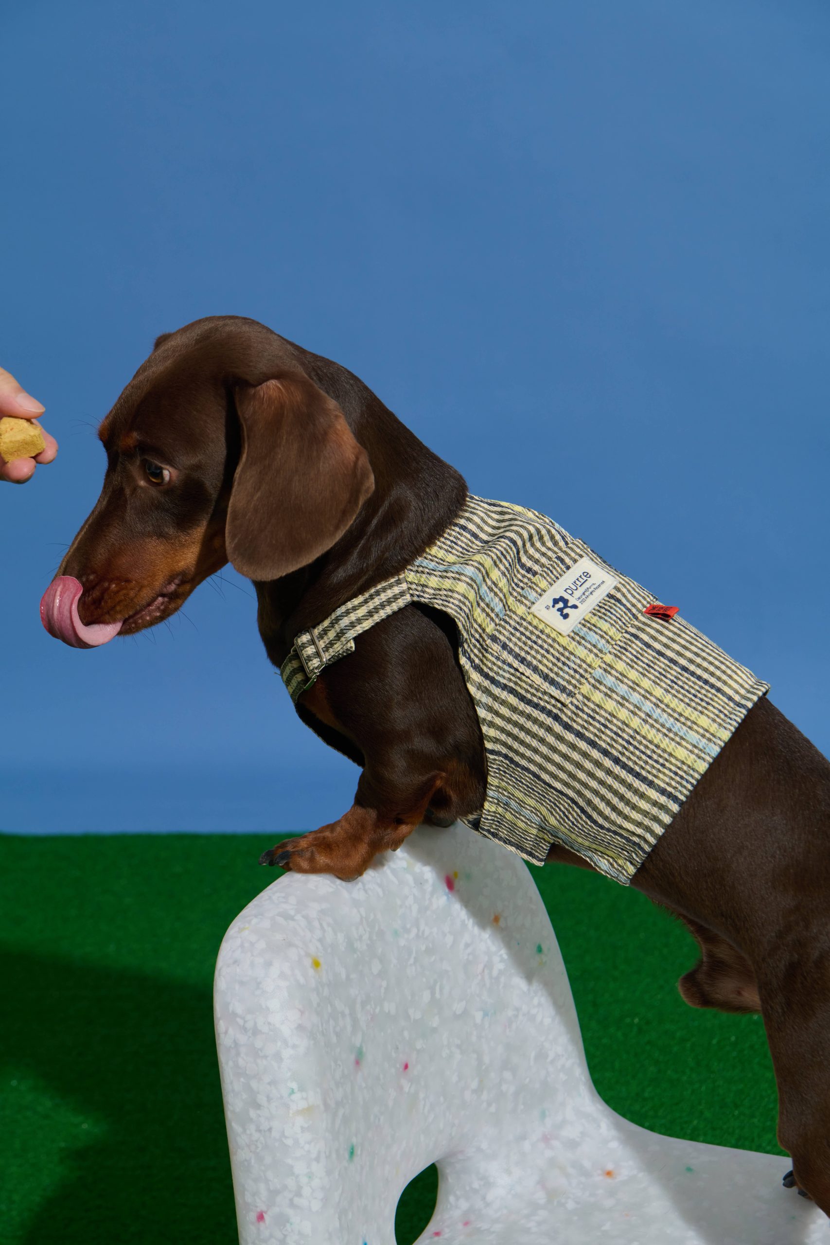 Plaid short sling -Yellow