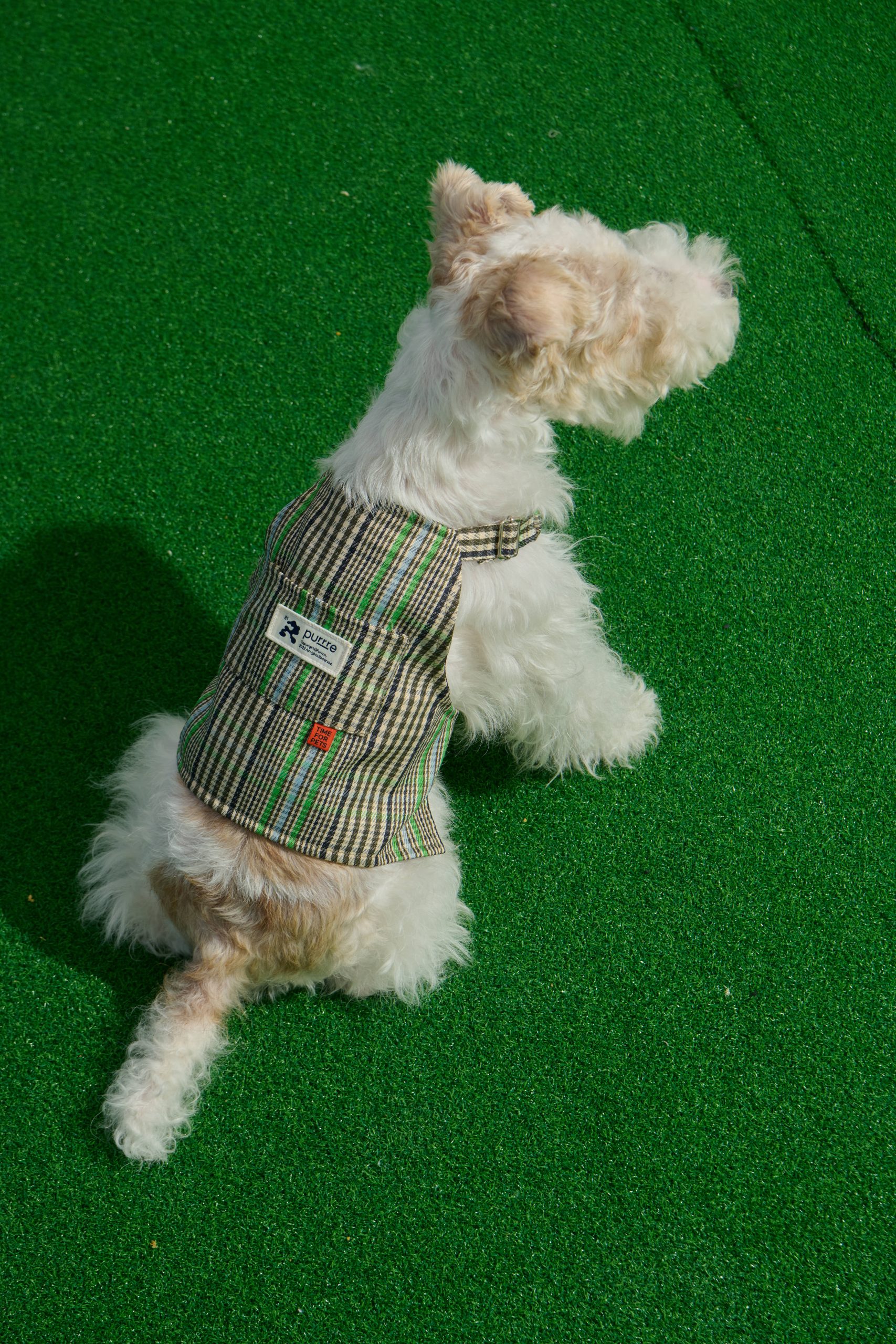 Plaid short sling -Green