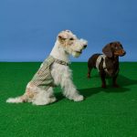 Plaid short sling -Yellow