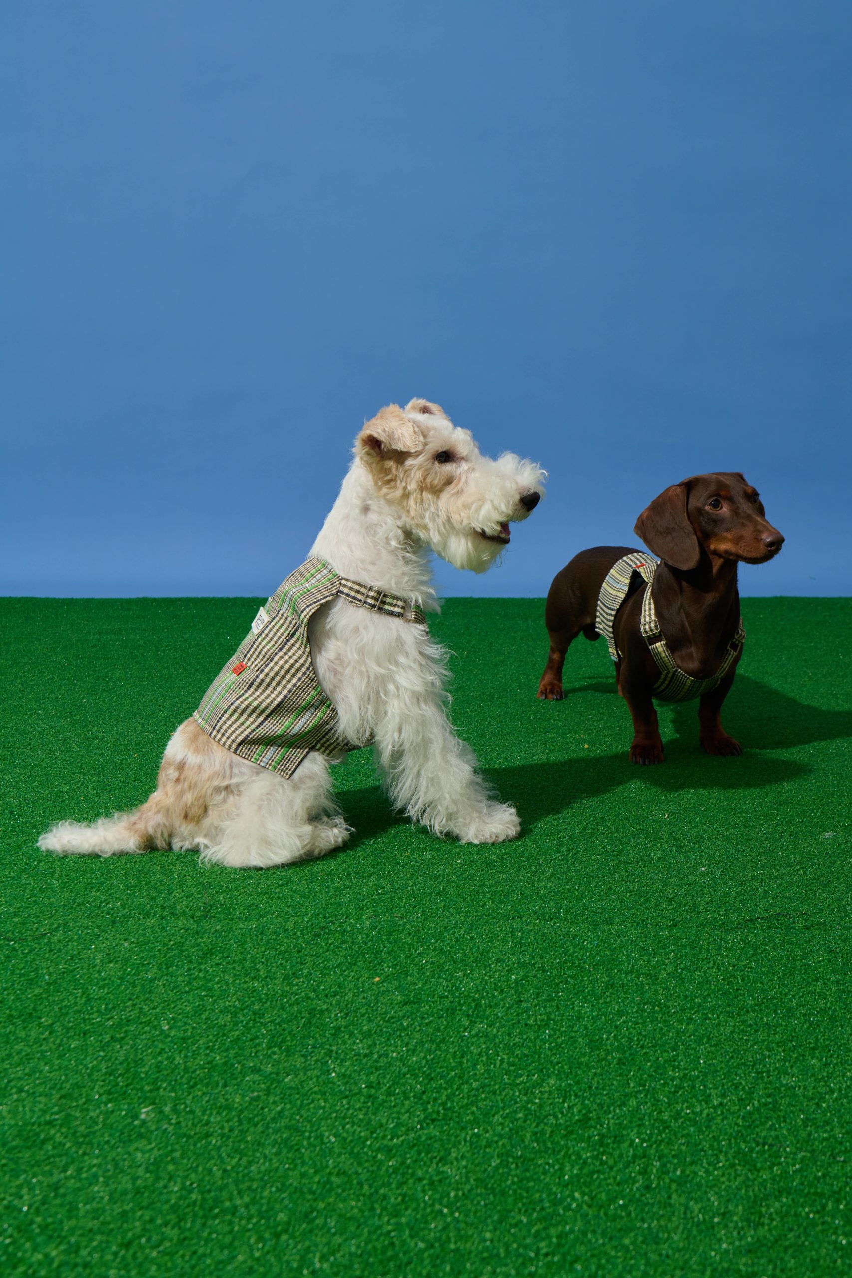 Plaid short sling -Yellow