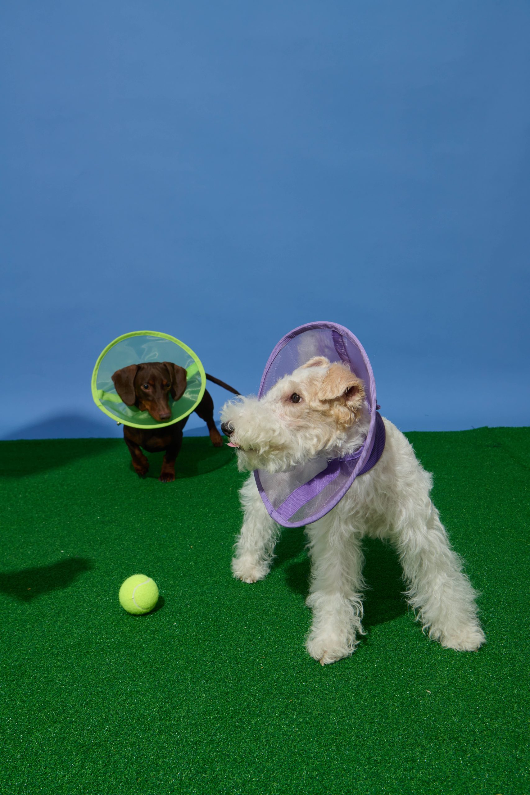 Breathable Mesh Elizabethan Collar-Neon Green