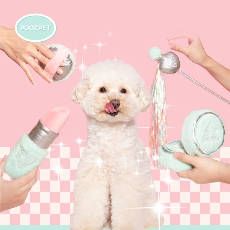 Snuffle Toy · Foundation