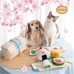 Enrichment Toy · Bento Box