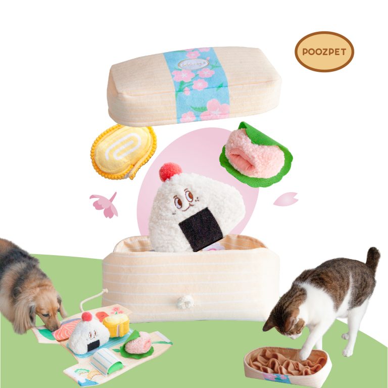 Enrichment Toy · Bento Box