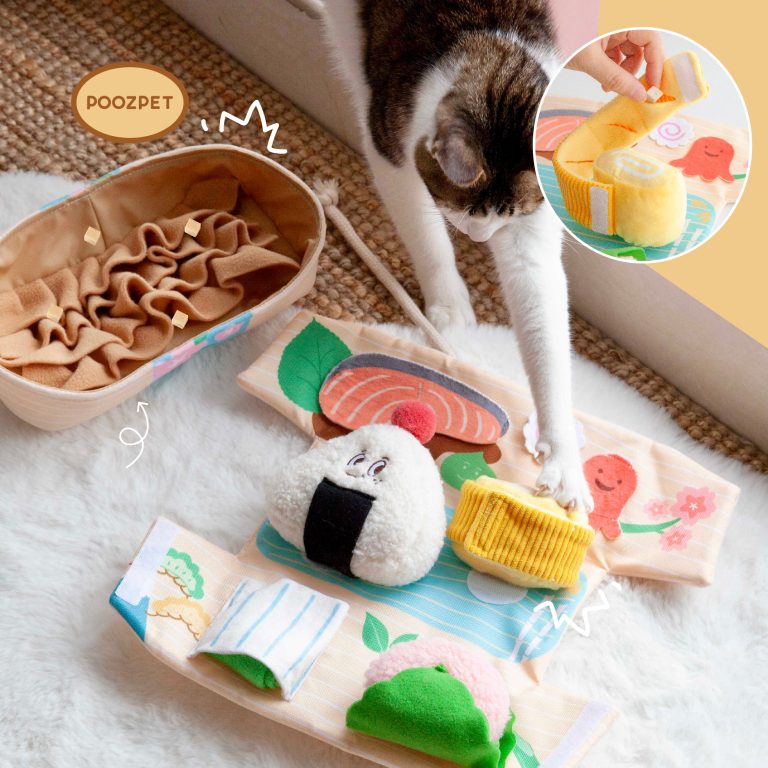 Enrichment Toy · Bento Box