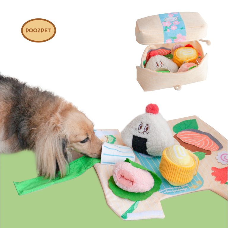 Enrichment Toy · Bento Box