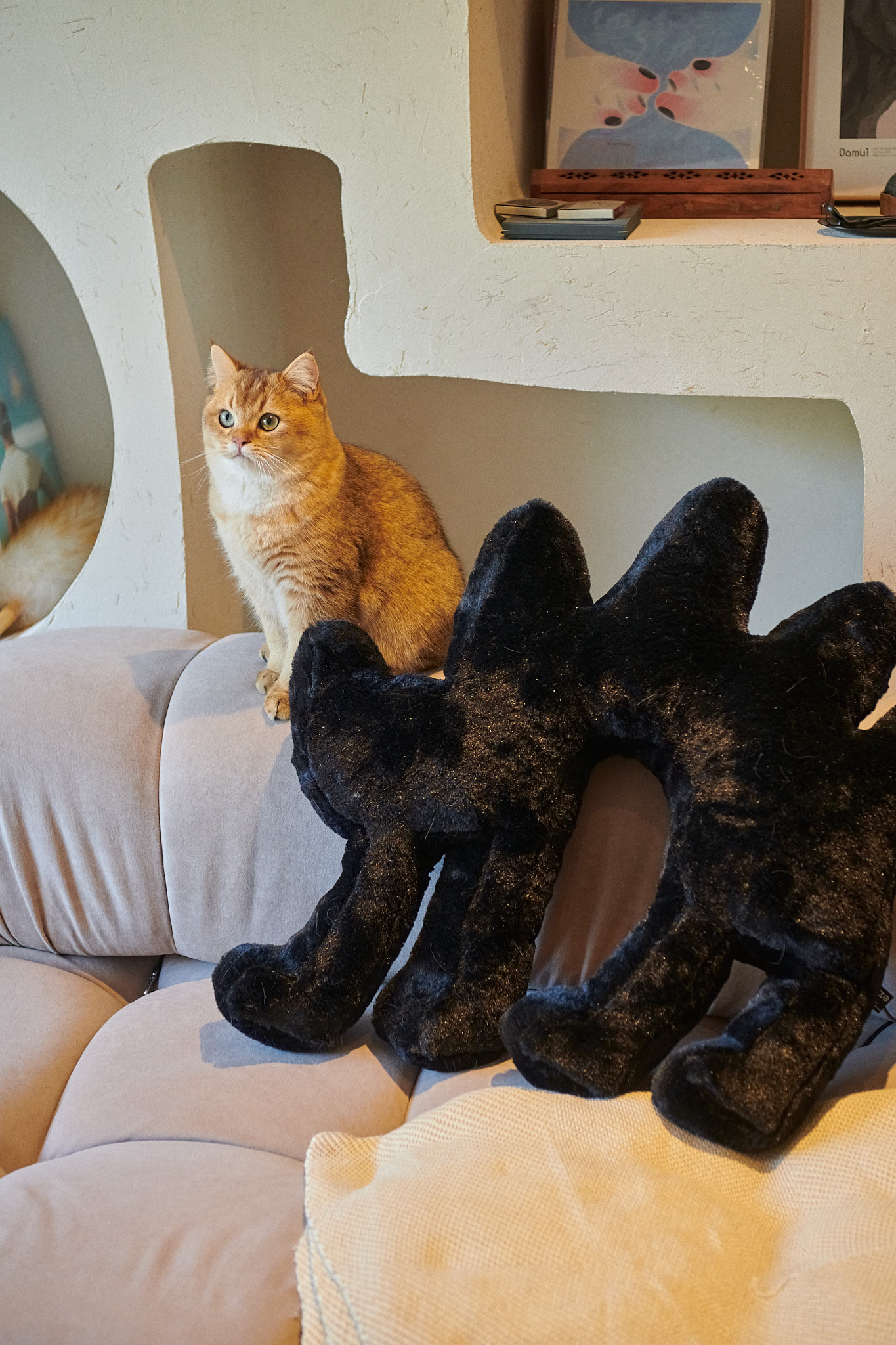 HOLD ME！ Boom Boom Cat