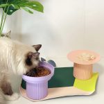 Teeth Party  Plate-Coral