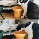 ペット用品　食器