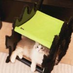 Fluffy Night Boom Boom Cat