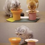 Teeth Party  Bowl-Sunset