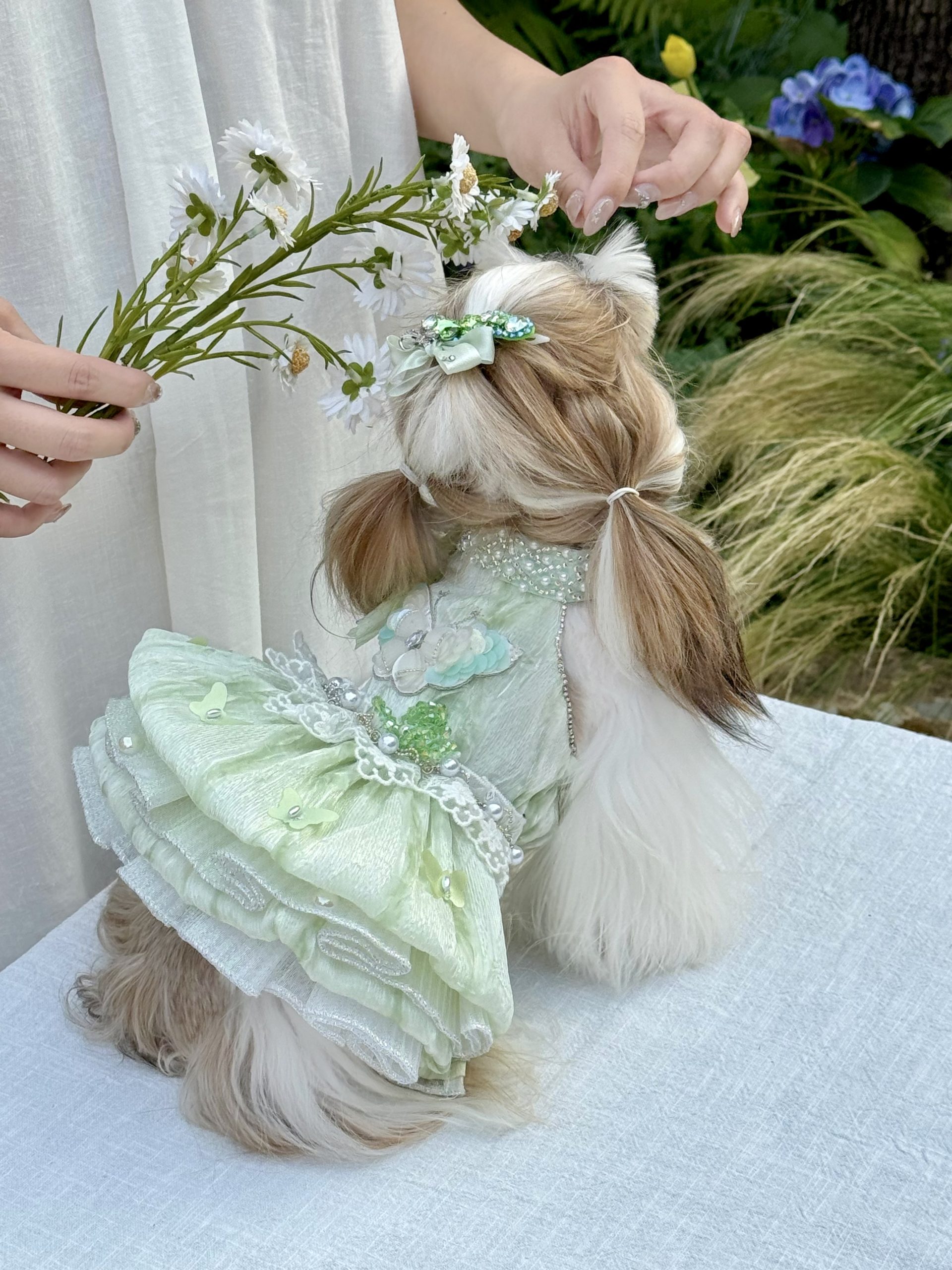fairy dress