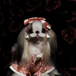 Limited edition kimono 