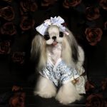 Limited edition kimono 