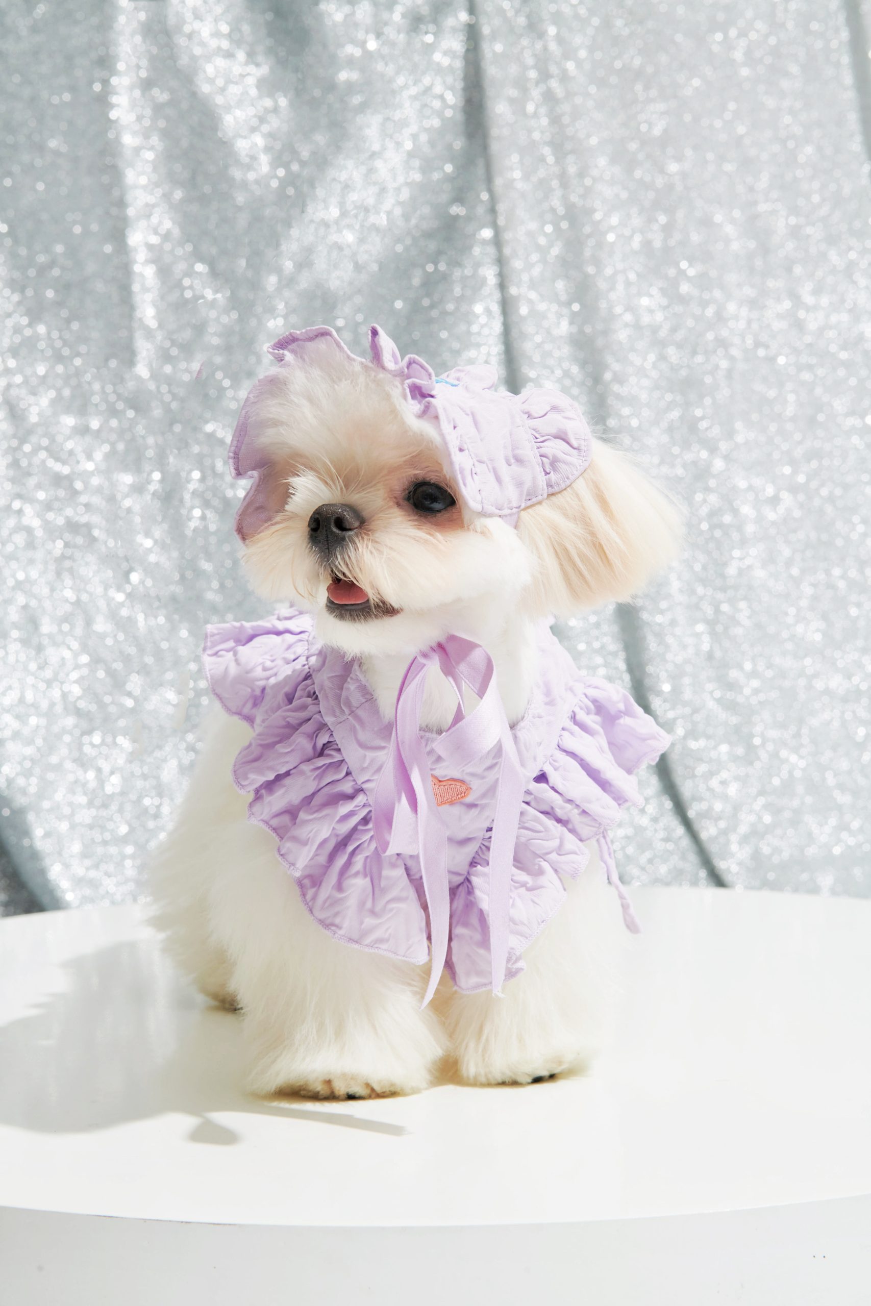 Ruffle short cut-out suit -Pastel Violet