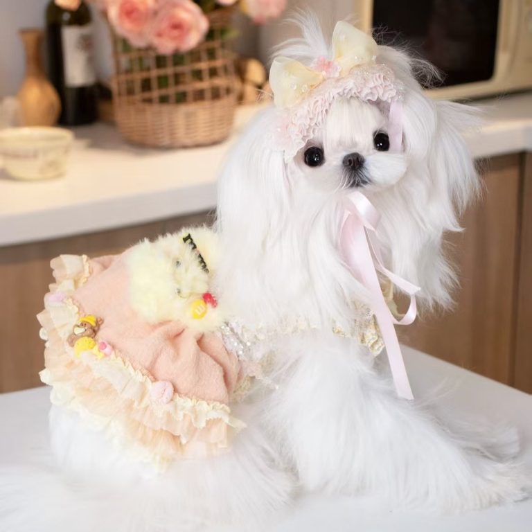 sweet rabbit dress