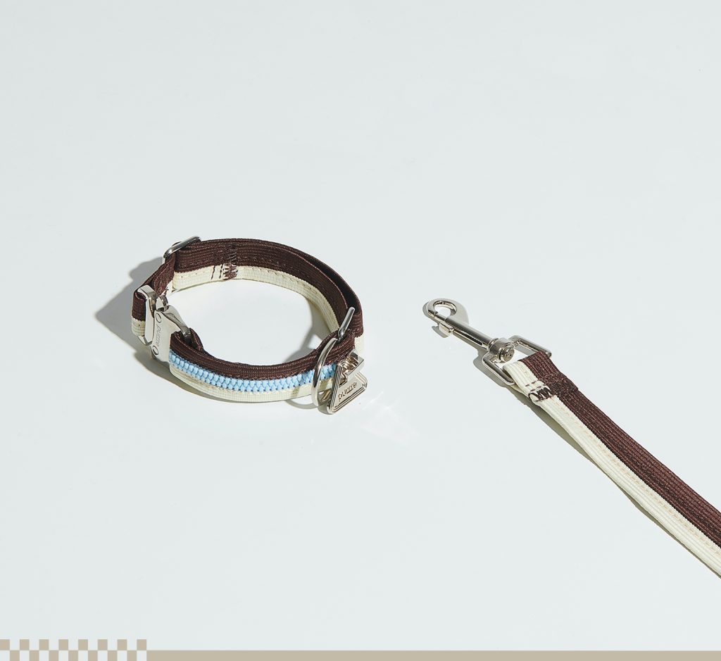 ペット用品　散歩グッズ　リード　首輪