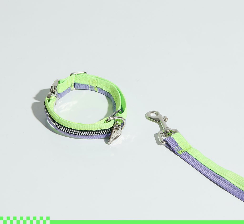 ペット用品　散歩グッズ　リード　首輪
