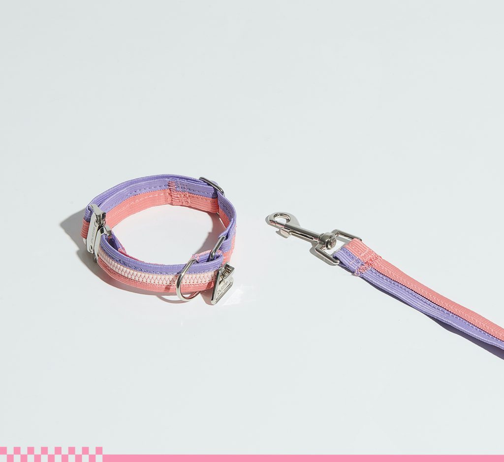 ペット用品　散歩グッズ　リード　首輪