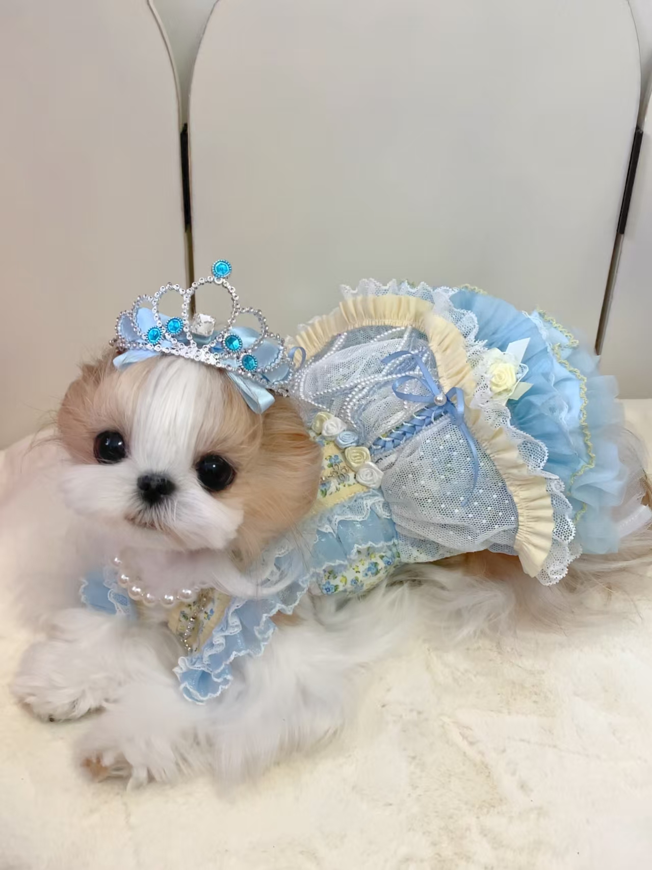 Baby Blue Eyes