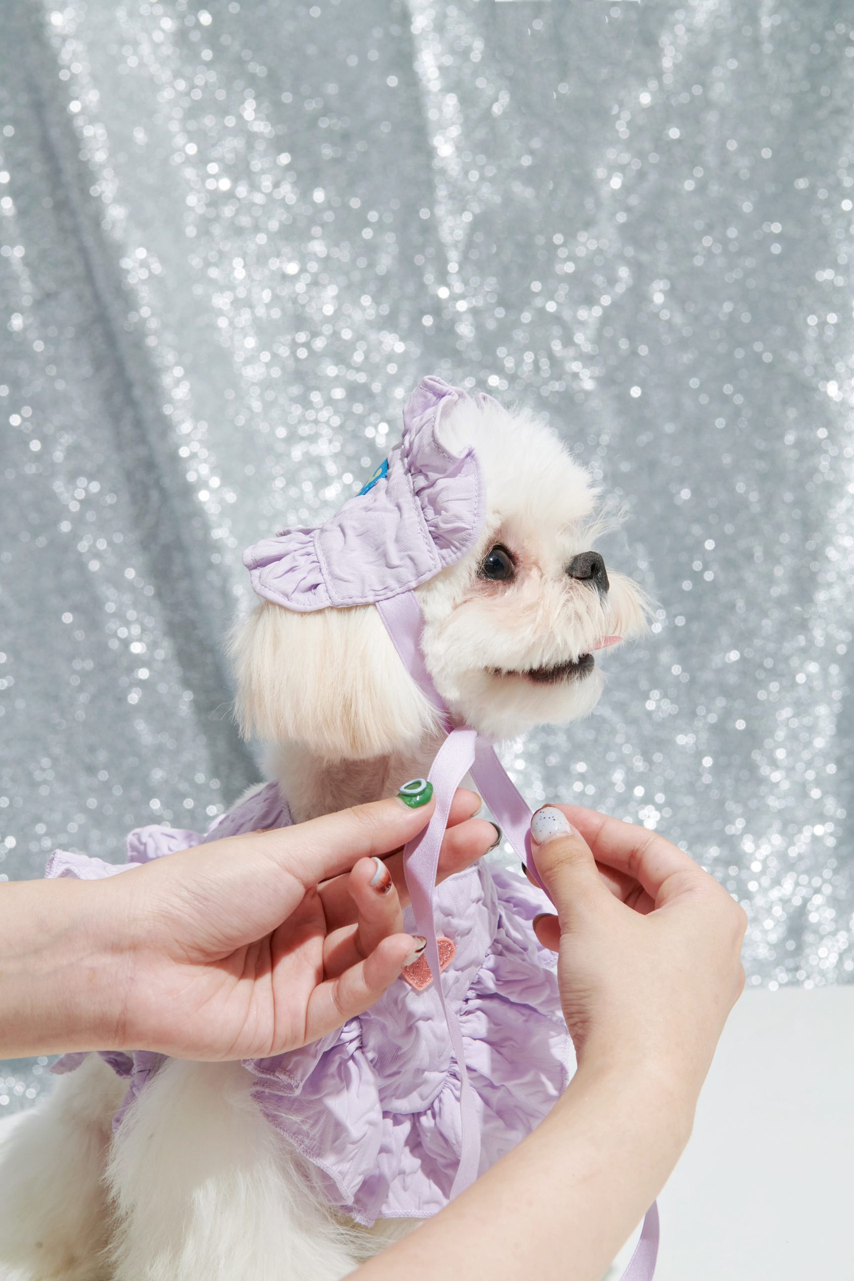 Ruffle Bib&headband -Pastel Violet